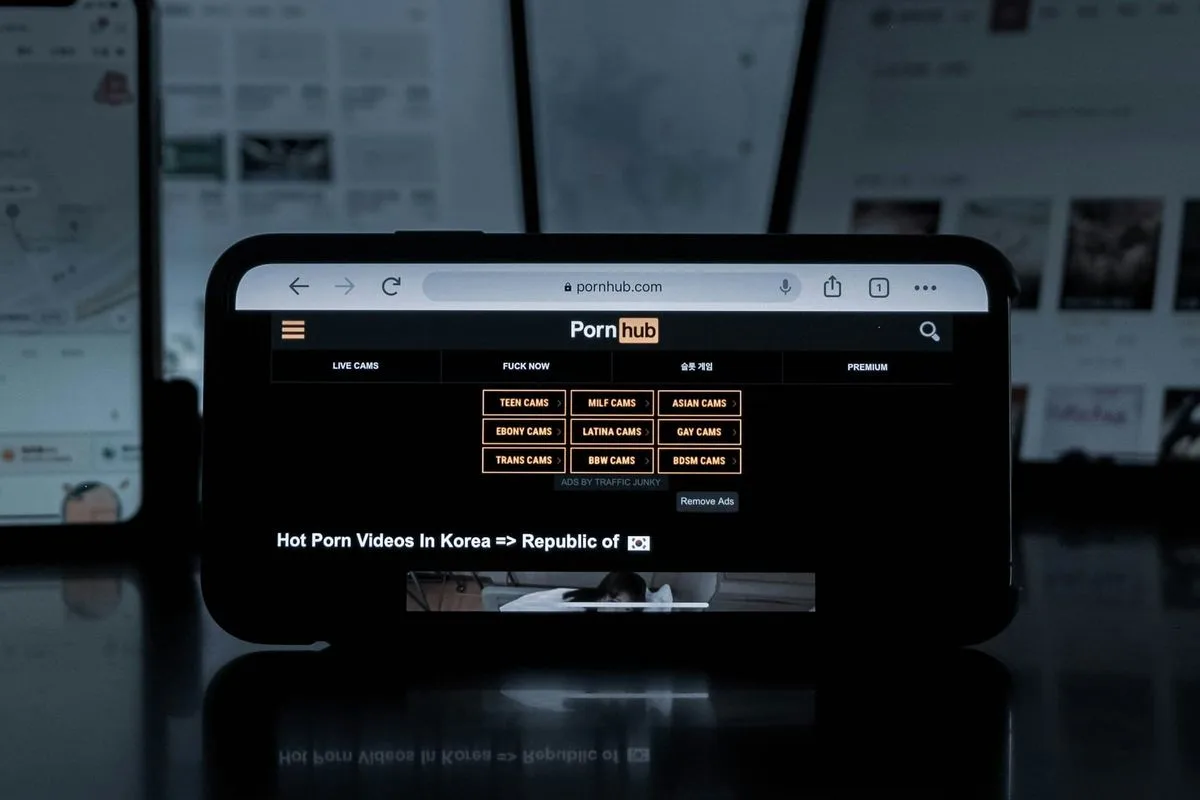 Aylo выплатит $120 млн по искам о детском порнографическом контенте на Pornhub